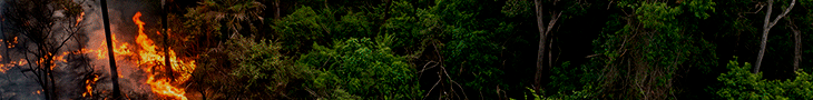 BANNER QUEIMADAS ADV6