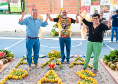 Piauí recebe 35 toneladas de alimentos para famílias vulneráveis