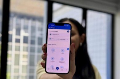 Gov.pi Cidadão oferece 579 serviços públicos digitais a mais de 2 milhões de usuários