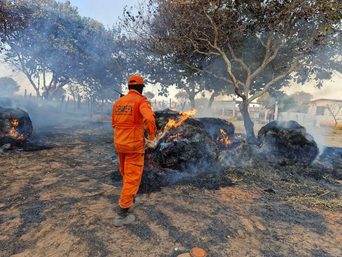 Corpo de Bombeiros registra quase 6 mil incêndios no Piauí e intensifica atendimentos em 2026
