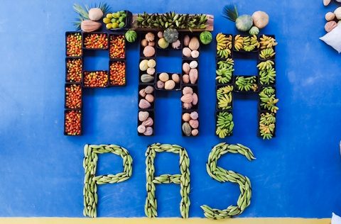 SAF entrega 35 toneladas de alimentos da agricultura familiar em Teresina nesta quinta (22)