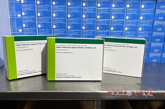 Piauí lidera ranking nacional de vacinação contra gripe e libera imunizante para público geral