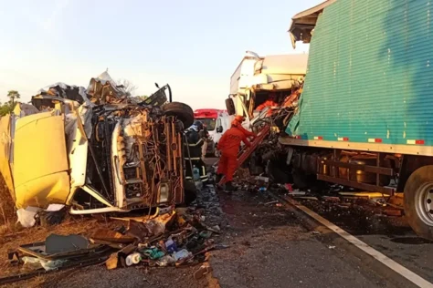 Acidente entre três caminhões deixa três mortos na BR-343 em Campo Maior
