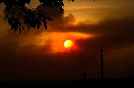 Piauí tem 162 cidades sob alerta laranja de baixa umidade, que pode chegar a 12%